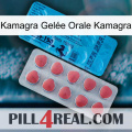 Kamagra Gelée Orale Kamagra new14